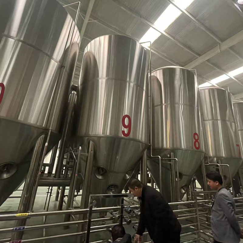 港口精酿啤酒设备